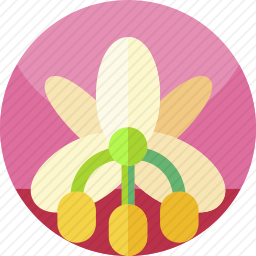 <em>花</em>