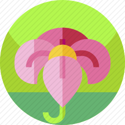 <em>花</em>