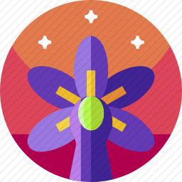 <em>花</em>