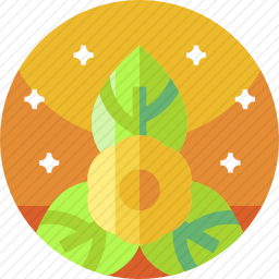 <em>花</em>