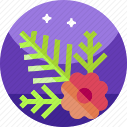 <em>花</em>