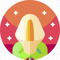 <em>花</em>