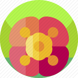 <em>花</em>
