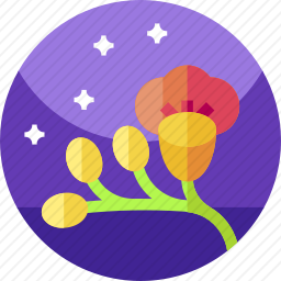 <em>花</em>