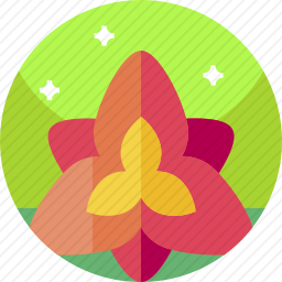 <em>花</em>