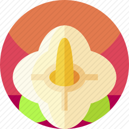 <em>花</em>