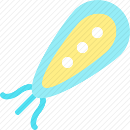 鞭毛虫