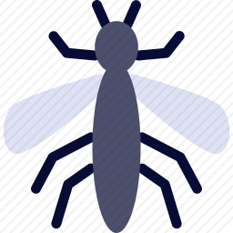 <em>蚊子</em>