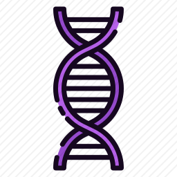 DNA