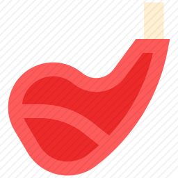 <em>羊排</em>