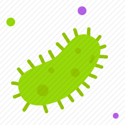 <em>细菌</em>