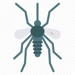 <em>蚊子</em>