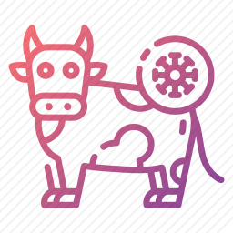 奶牛