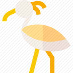 鸟