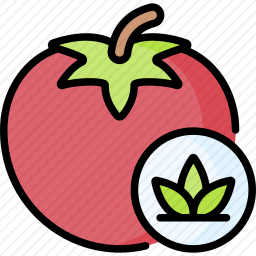 <em>番茄</em>