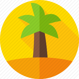 棕榈树