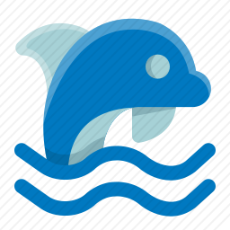 海豚