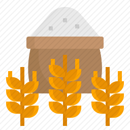 <em>小麦</em>