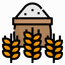 <em>小麦</em>