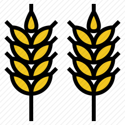 小麦