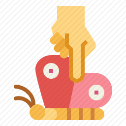 抓蝴蝶
