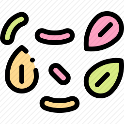 坚果