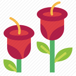 花