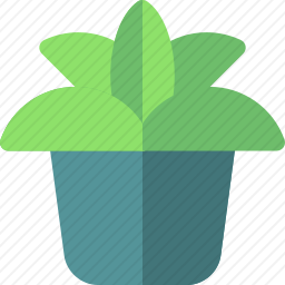 盆栽植物