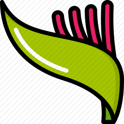 植物