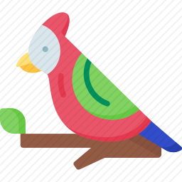 鸟