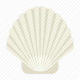 <em>贝壳</em>