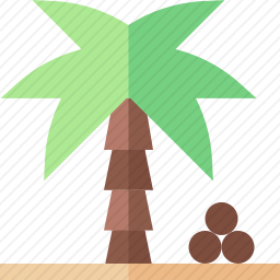 棕榈树