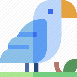 鸟