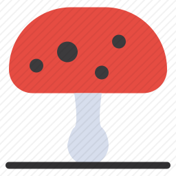 蘑菇