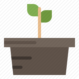 盆栽植物