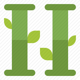 竹