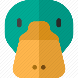 鸭子