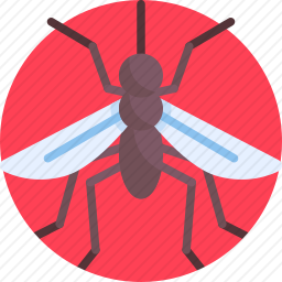 <em>蚊子</em>