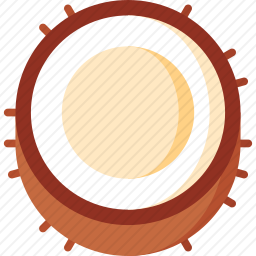 <em>椰子</em>