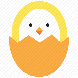 鸟