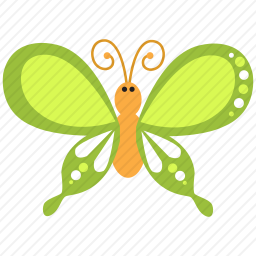 <em>蝴蝶</em>