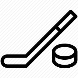 <em>曲棍球</em>