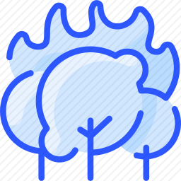 <em>森林</em>火灾