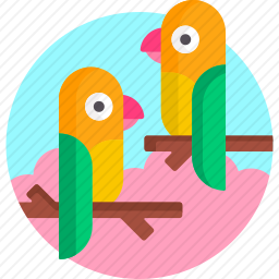 <em>牡丹</em>鹦鹉