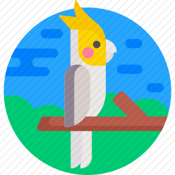 <em>鹦鹉</em>