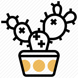 仙人掌