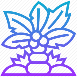 棕榈树