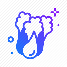 <em>白菜</em>