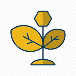 <em>投资</em>