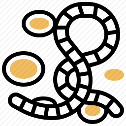 病毒